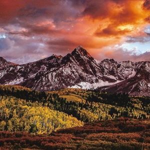 Meet your Posher, Nan